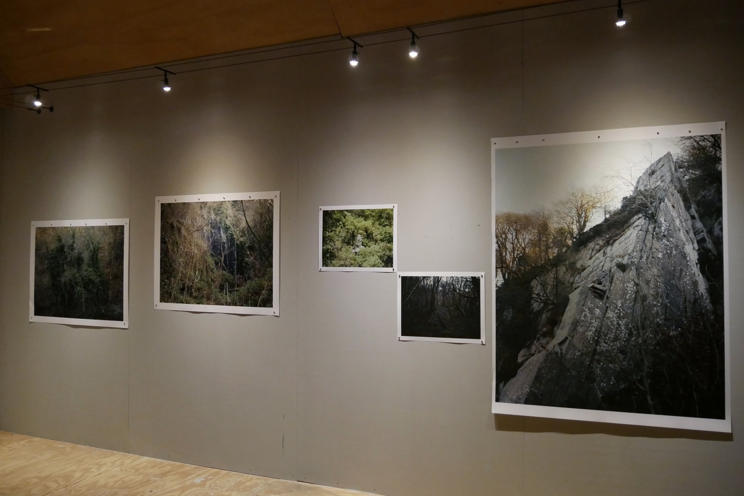 Installation view