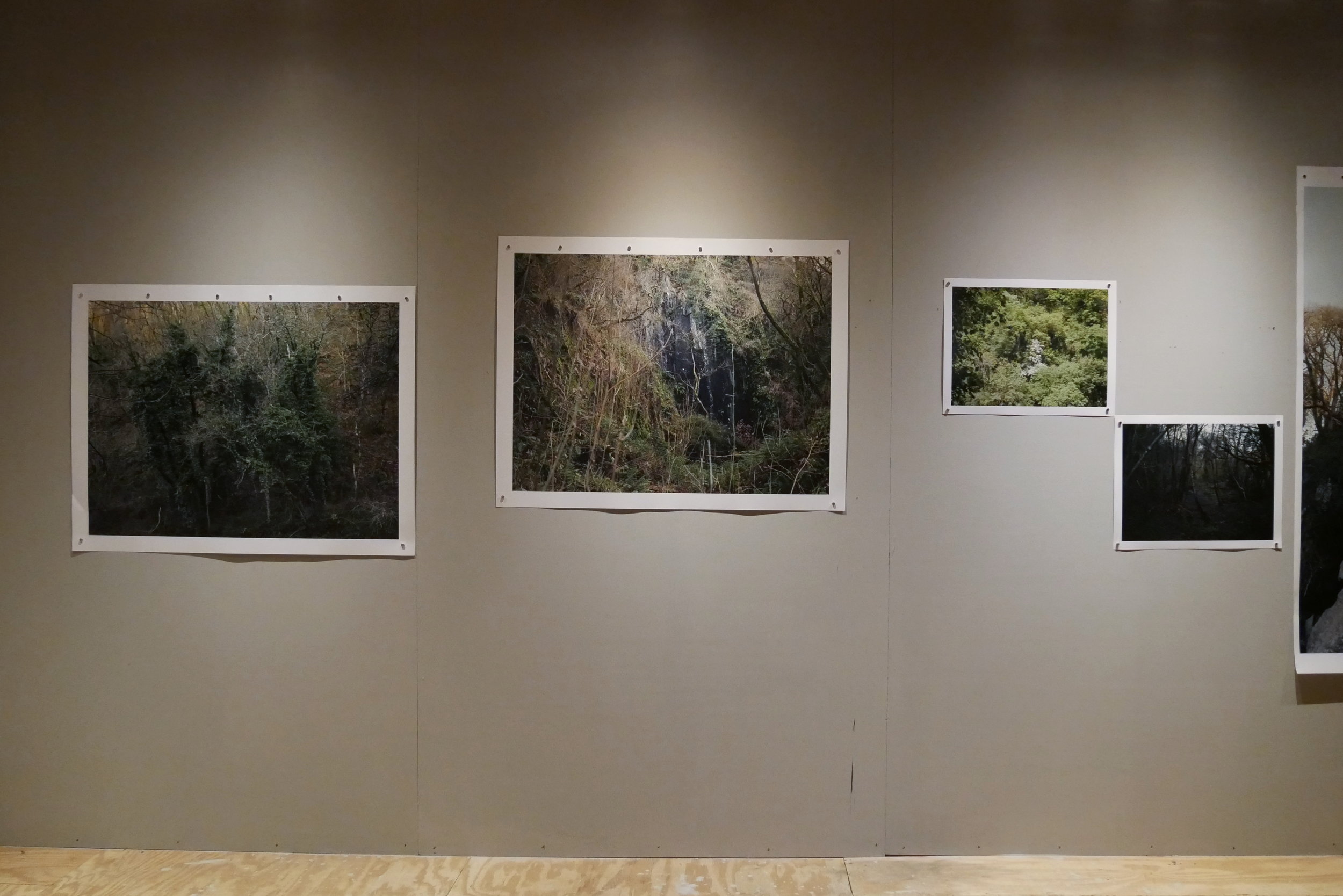 Installation view