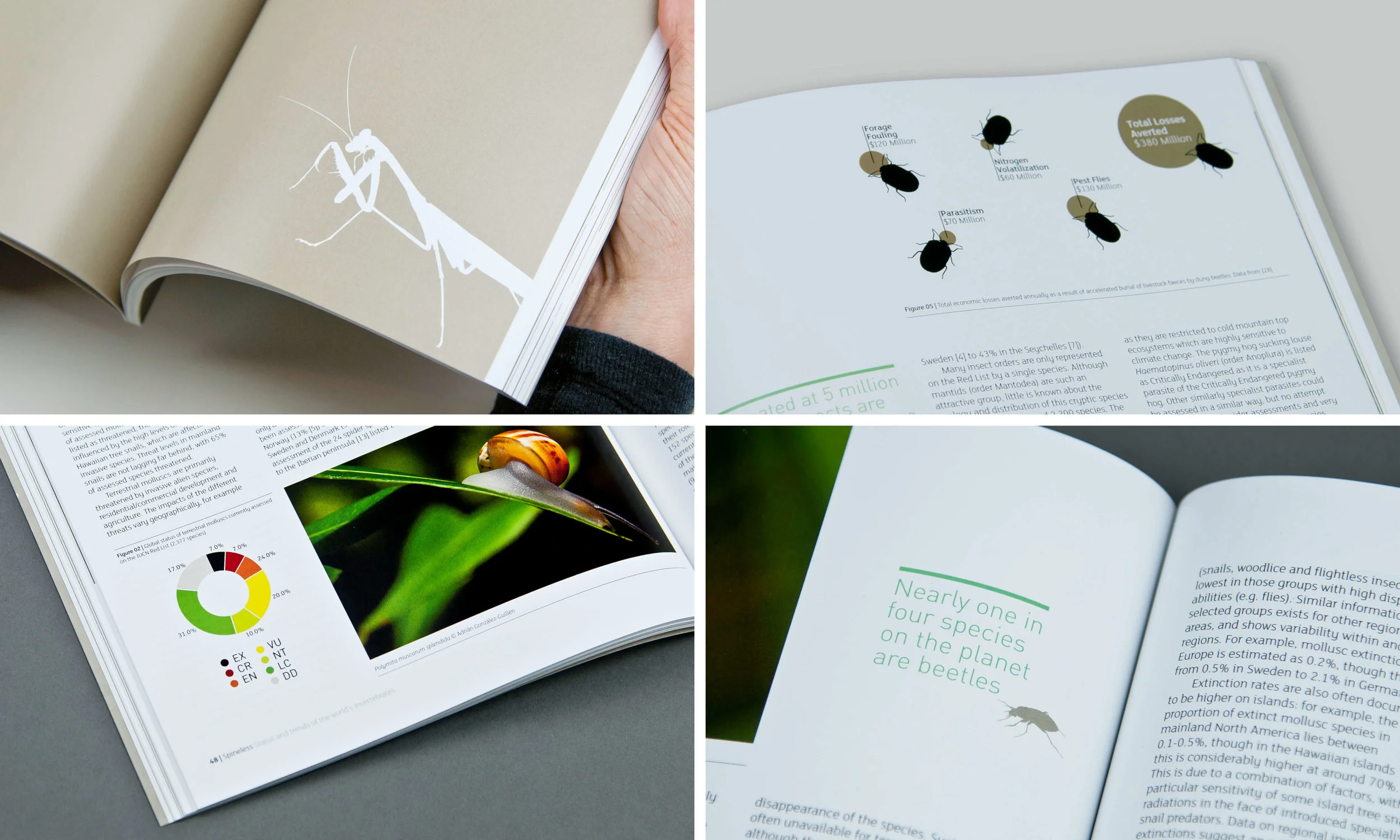 double image layout-b3.jpg