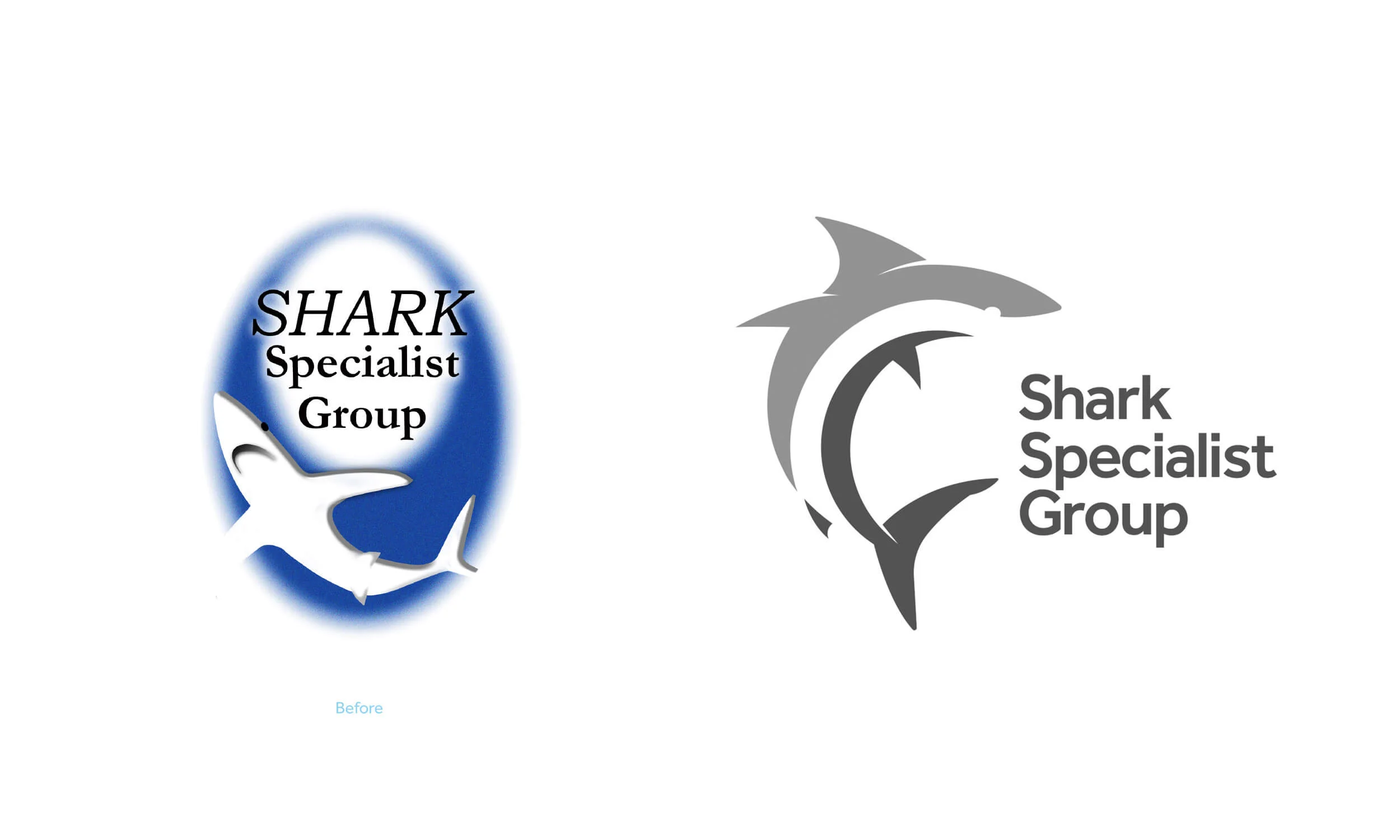 Sharklogo-before-after-01-text.jpg