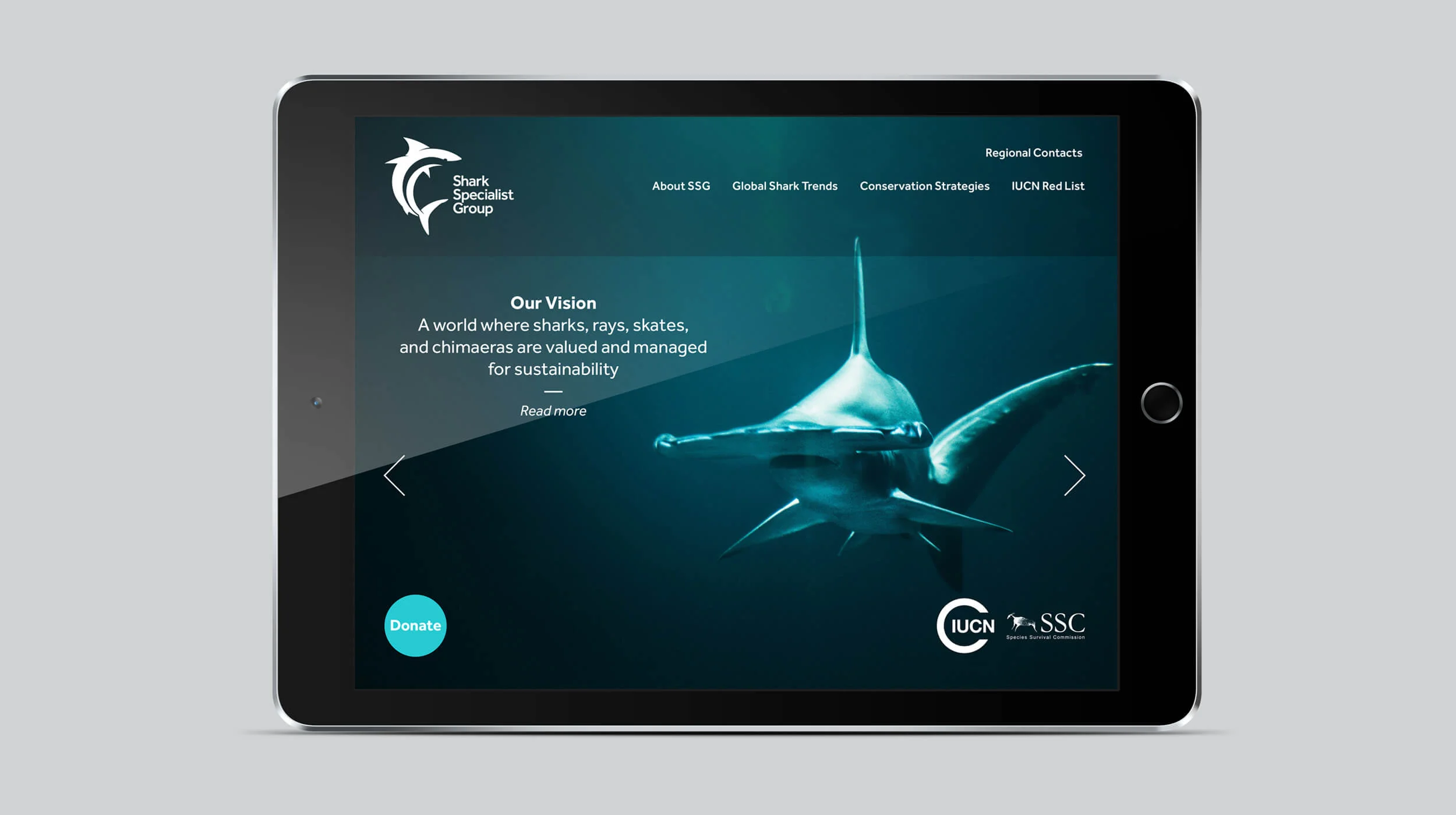 Shark-ipad-01.jpg