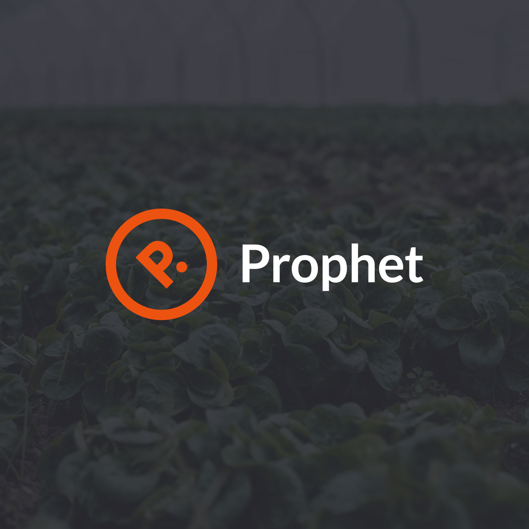 Creative logo design for Prophet London