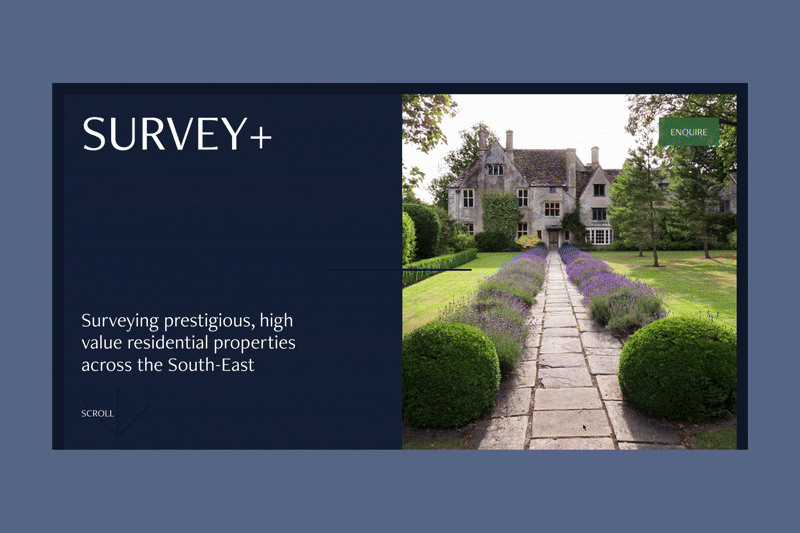 Survey+