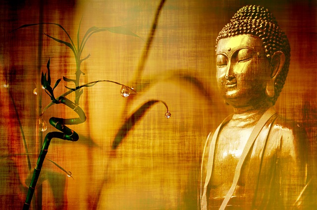 buddha bamboo.jpg