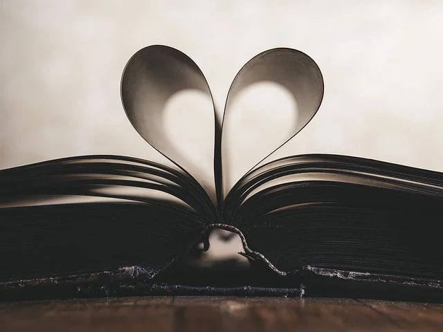 book website picture.jpg
