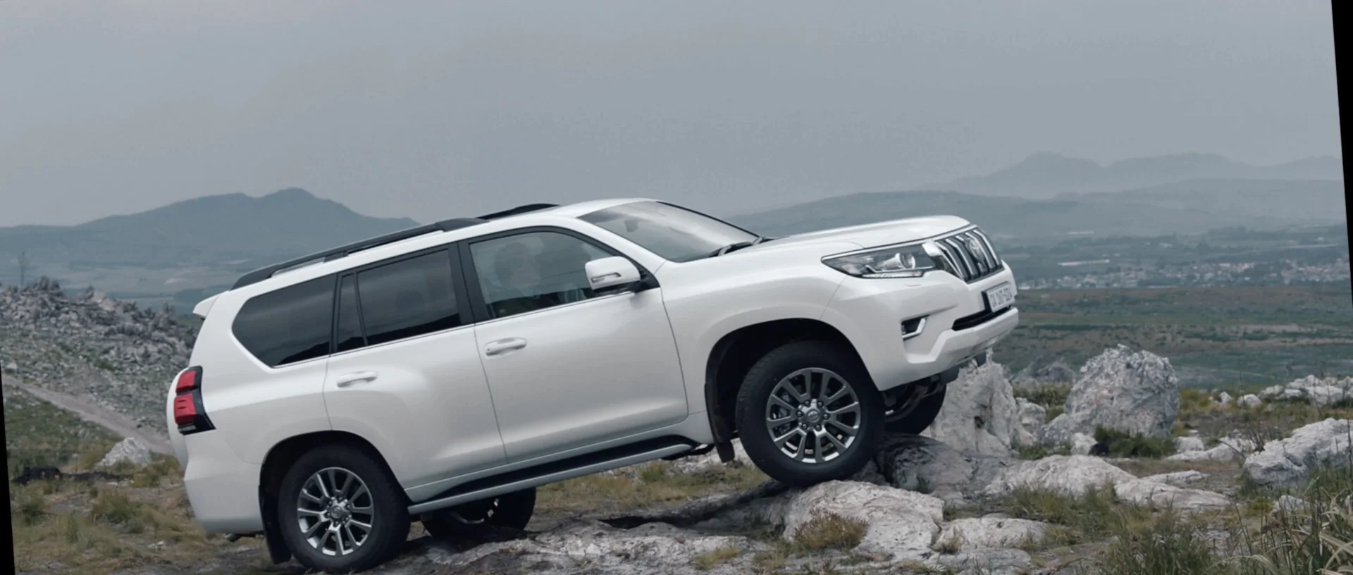 Toyota Prado - Bird - 09.jpeg