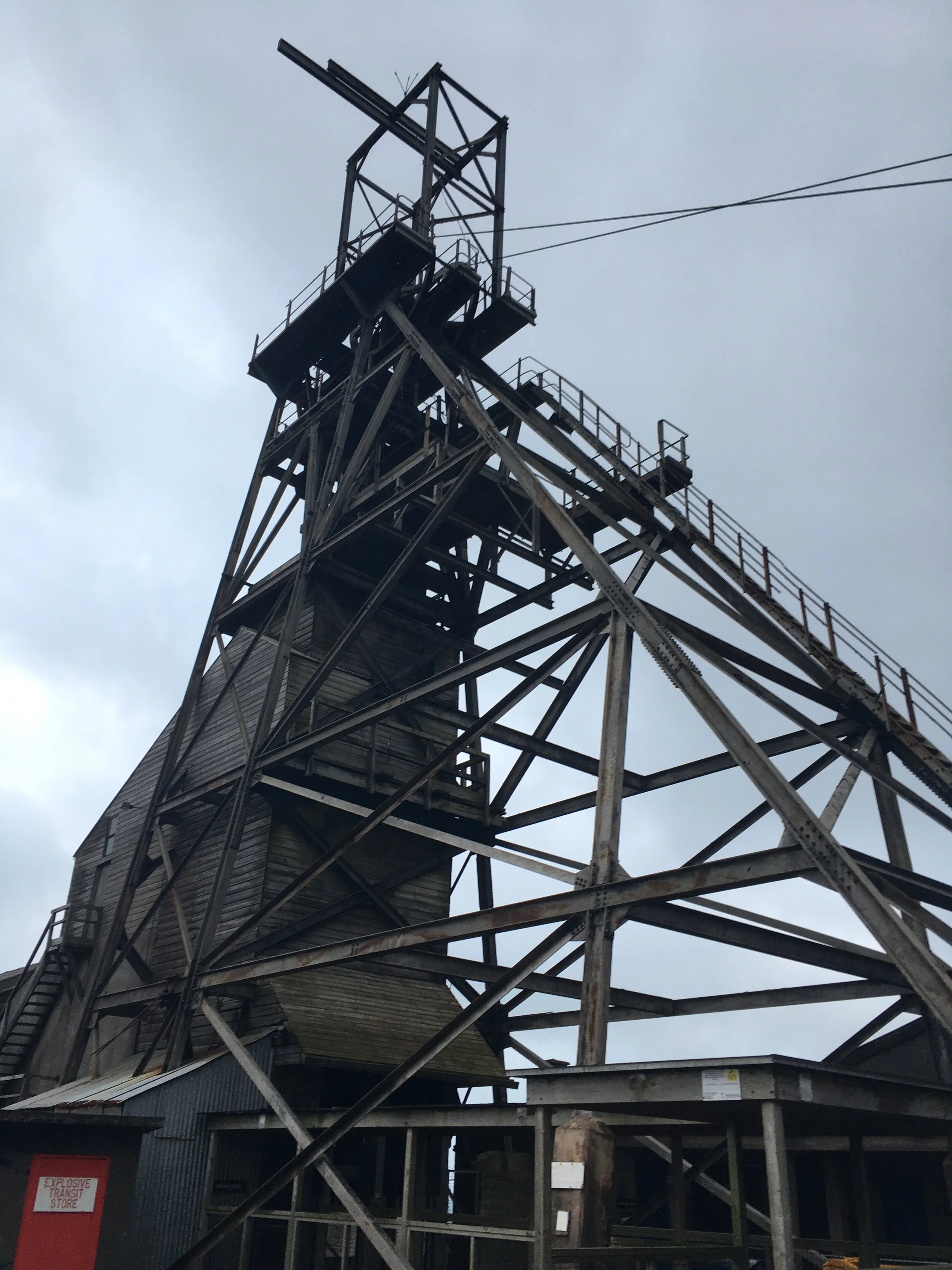 Scottish Premiere and new work for Jane Sheldon