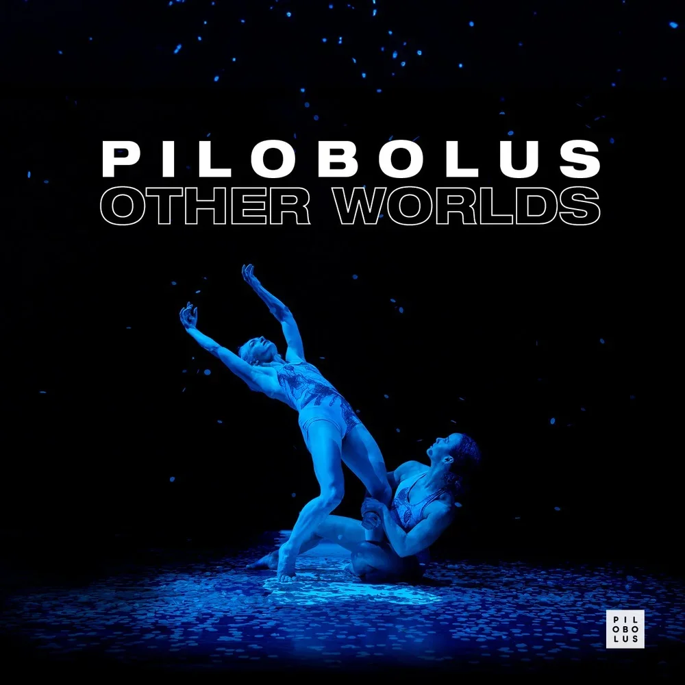 Pilobolus - Virtuous and Viscious