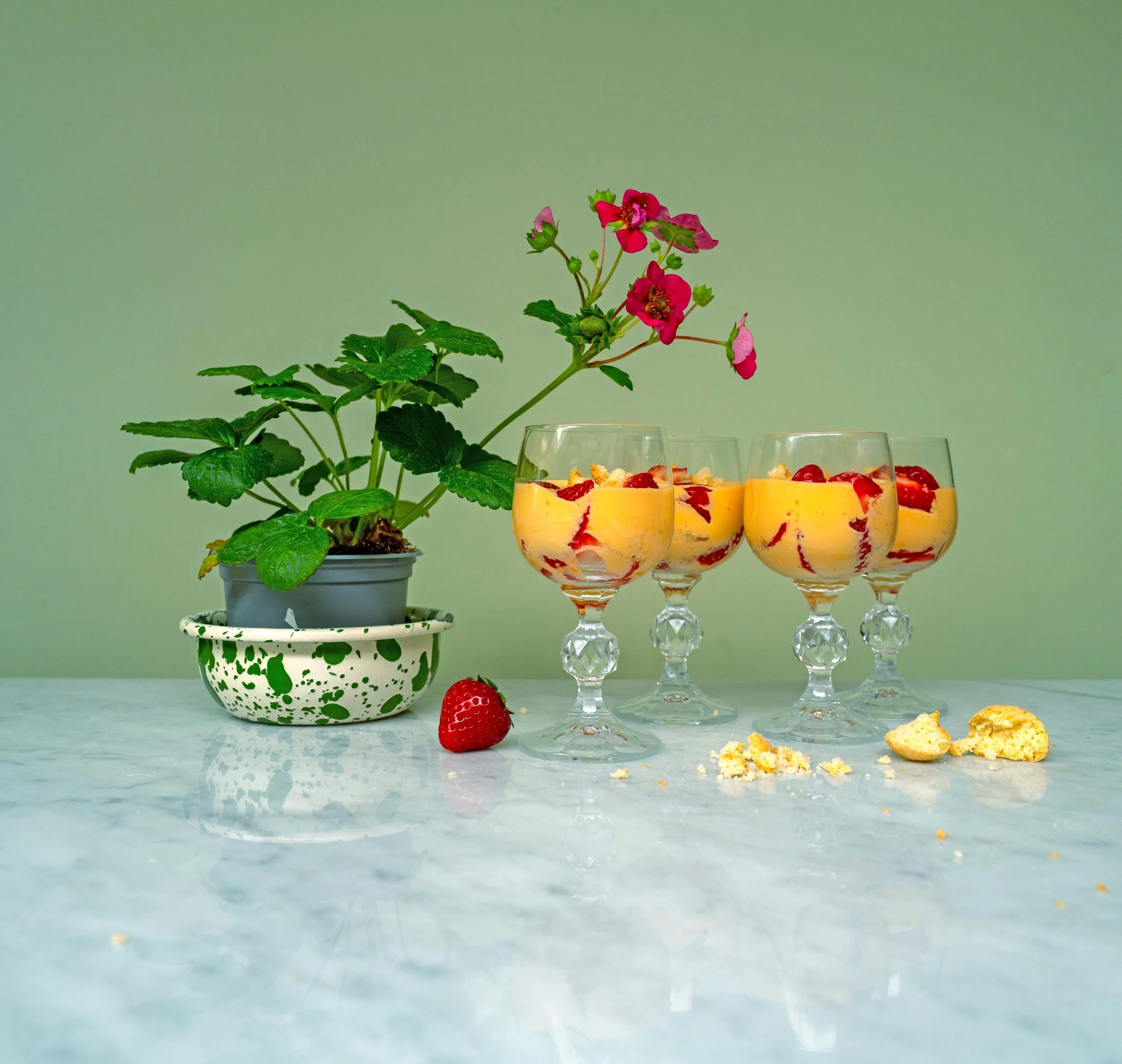SUMMER_ZABAGLIONE.jpg