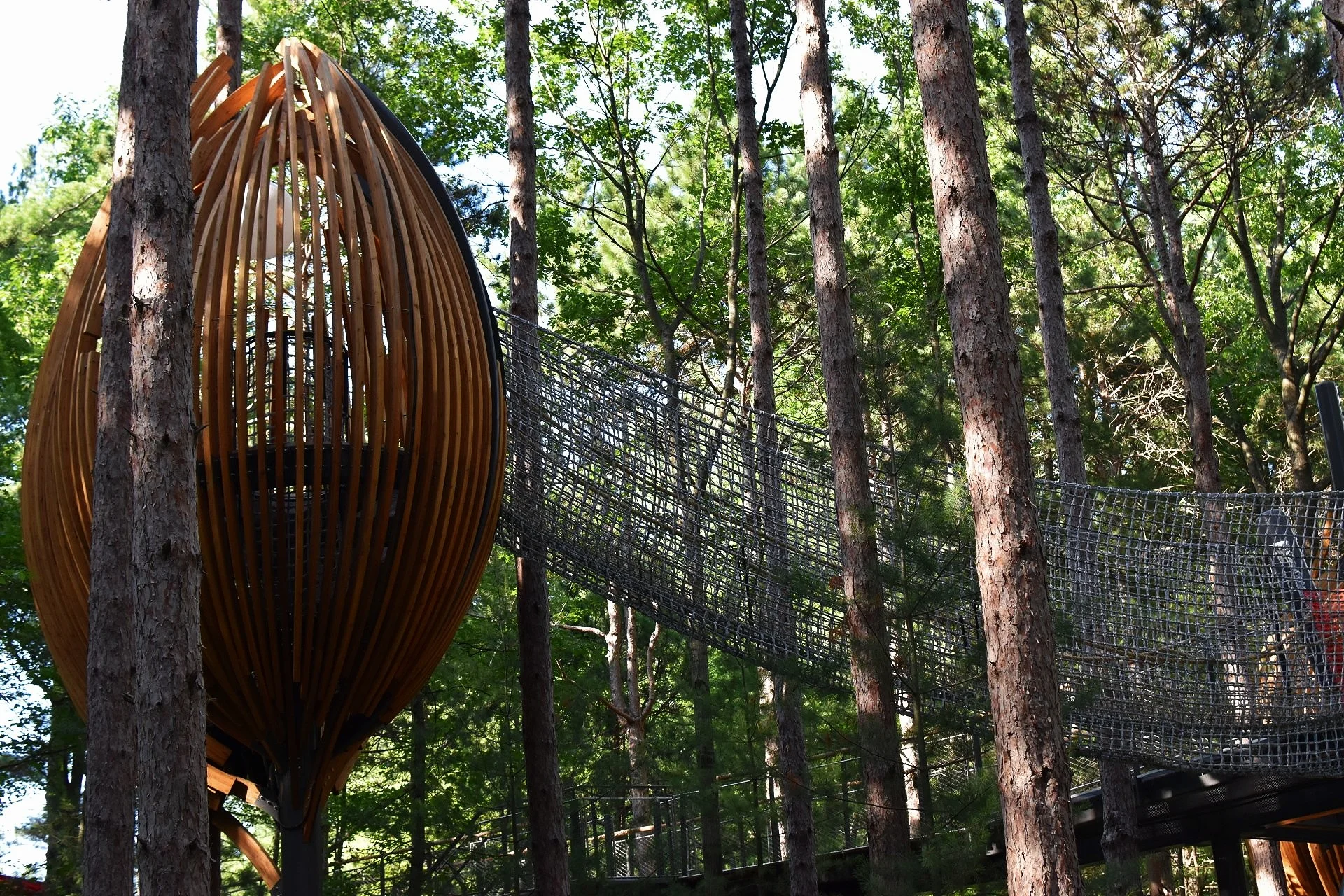 canopy+walk.jpg