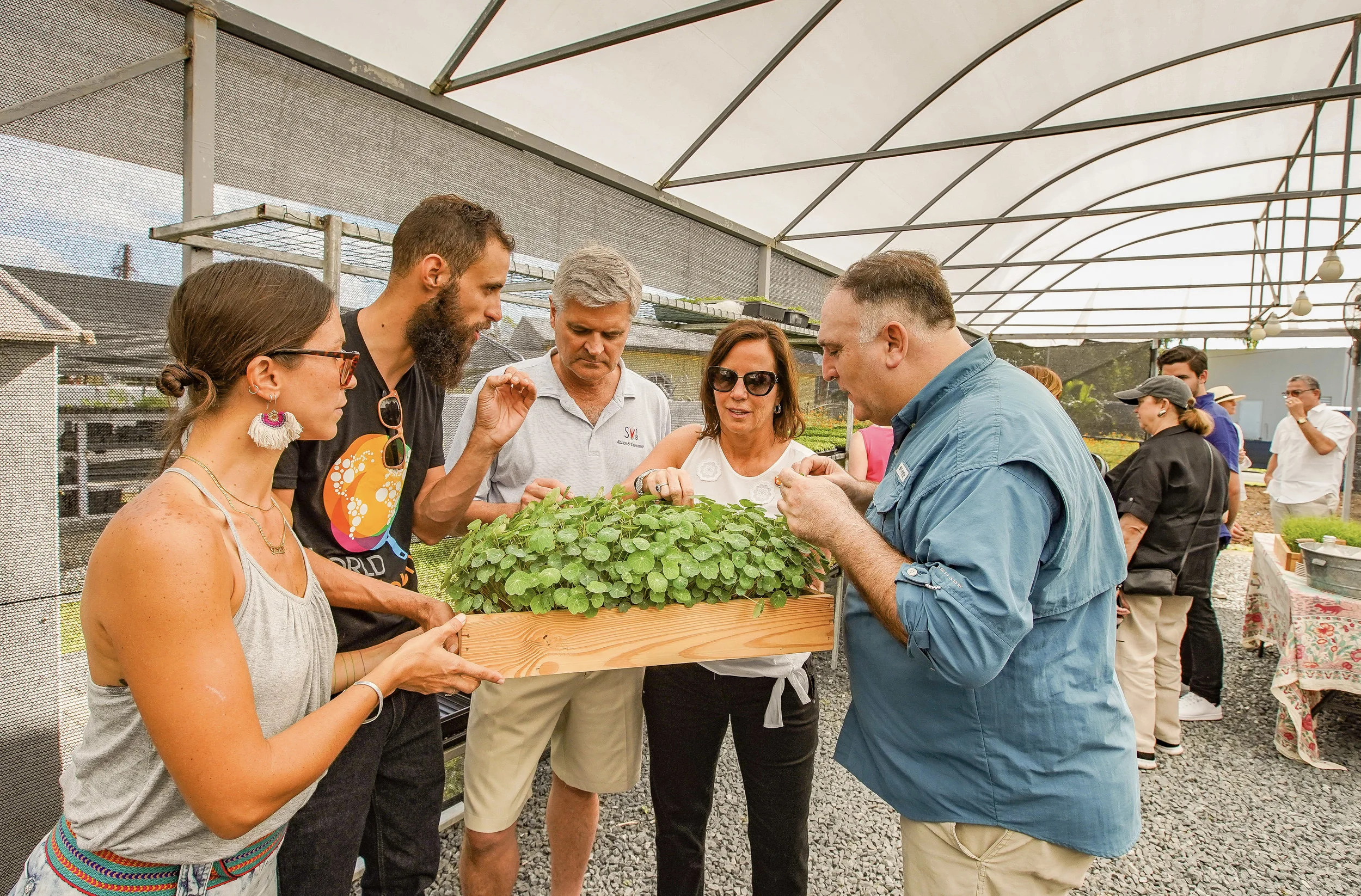 PICK1-JC101197 (1).jpg