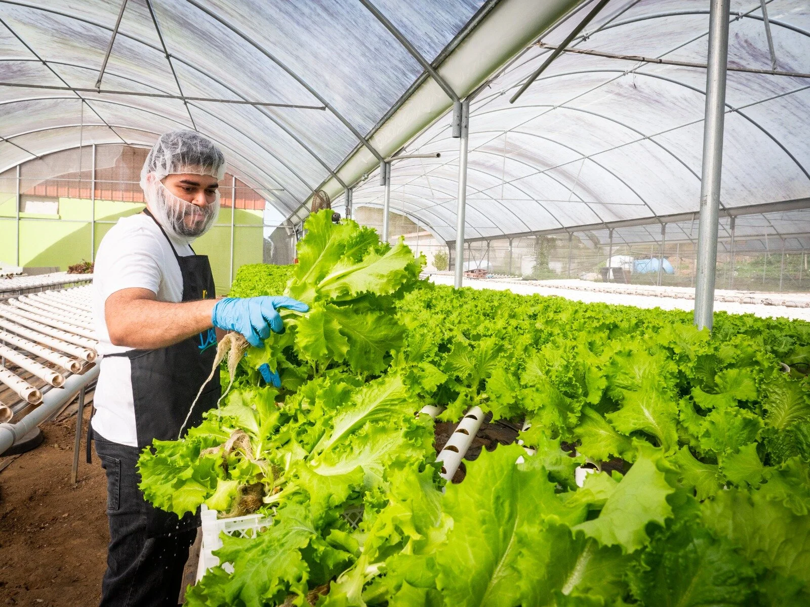 WhatsApp Image 2020-02-11 at 6.13.16 PM.jpeg