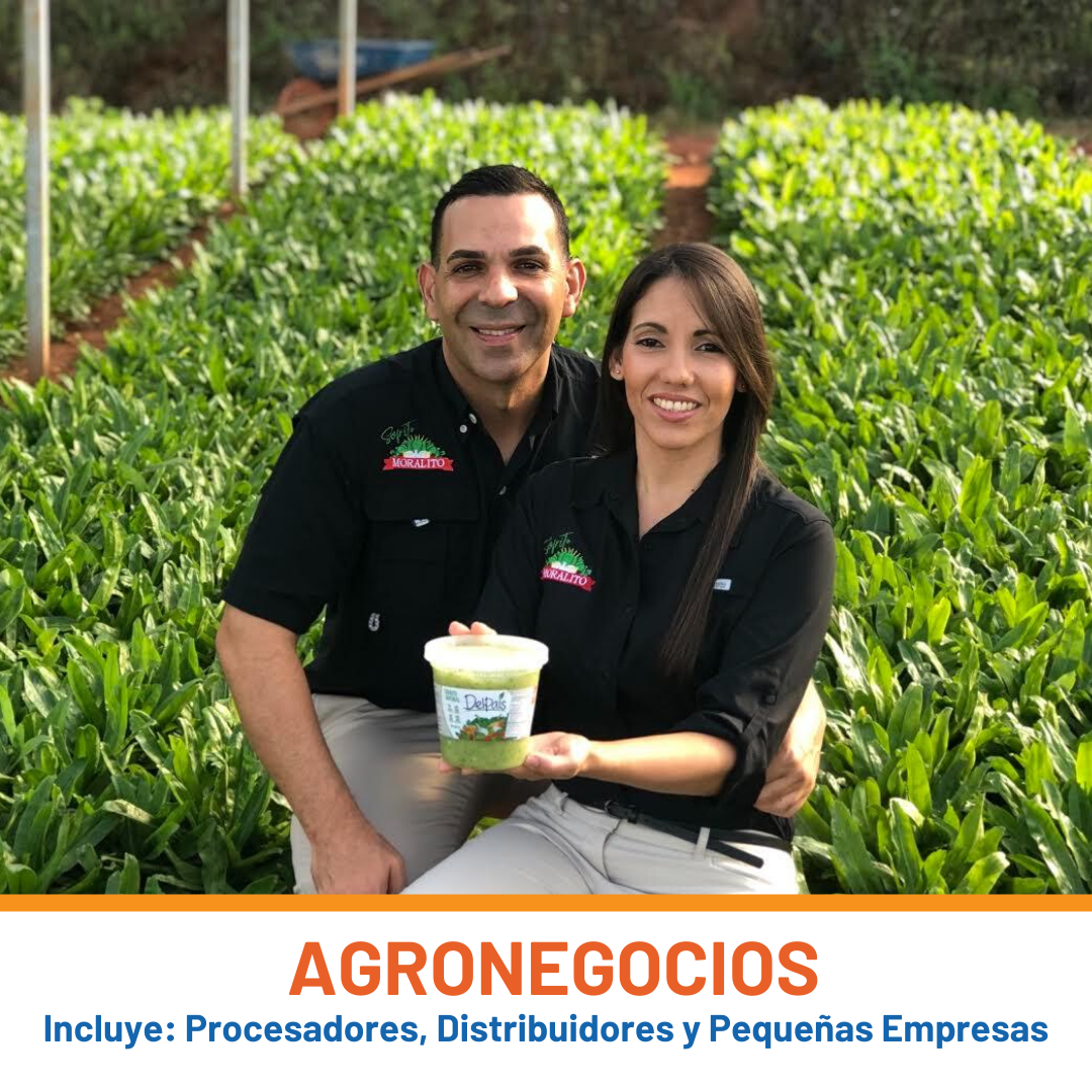 arte agronegocios web.png