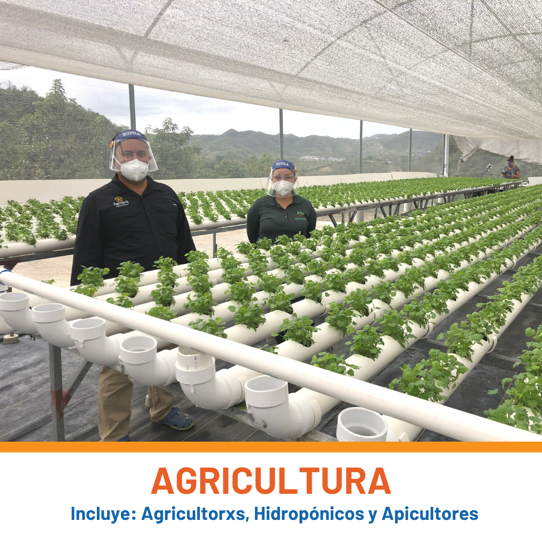 P2P App Webinar Spanish.png