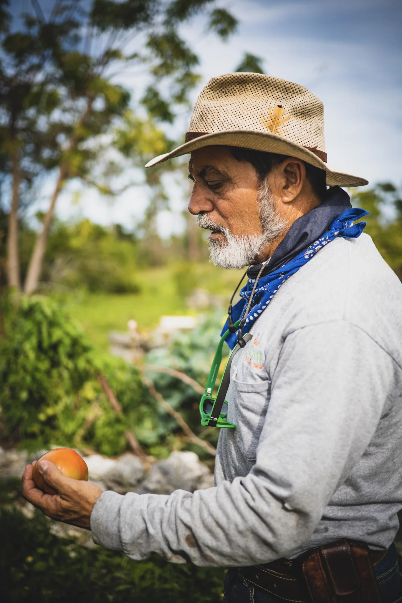 Bahamas_Nick Miaoulis.jpeg