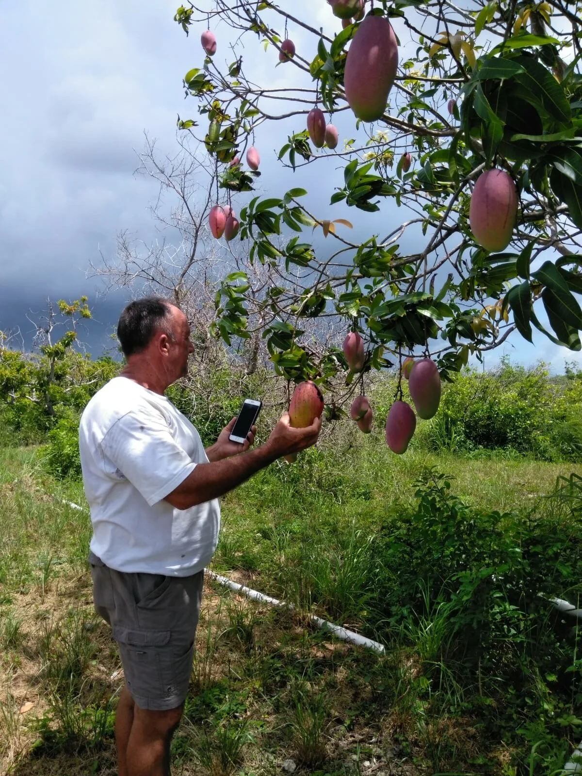 Rowan Higgs Farm.jpeg