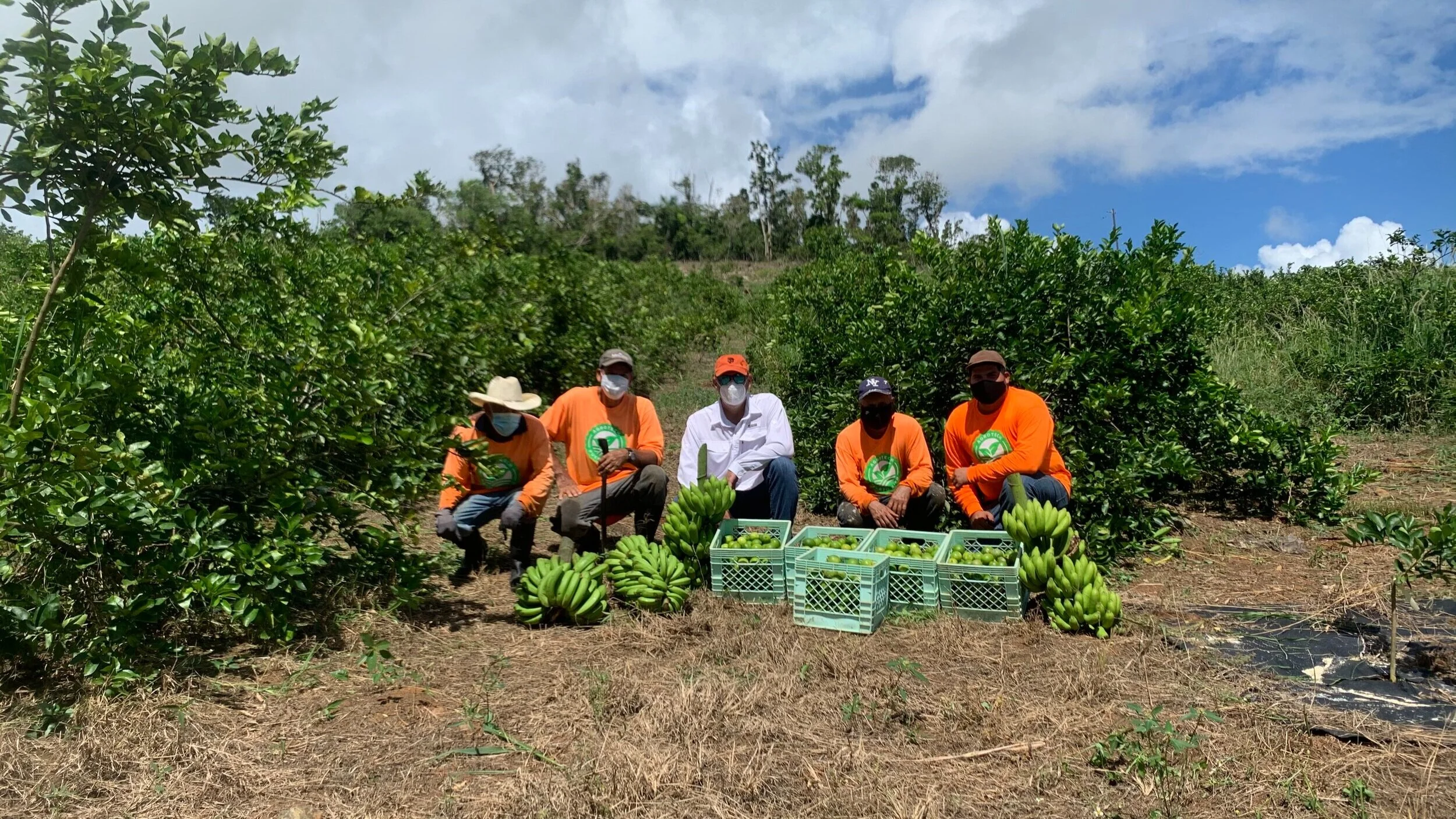 PR_PuertoRicoAgroTech.jpg