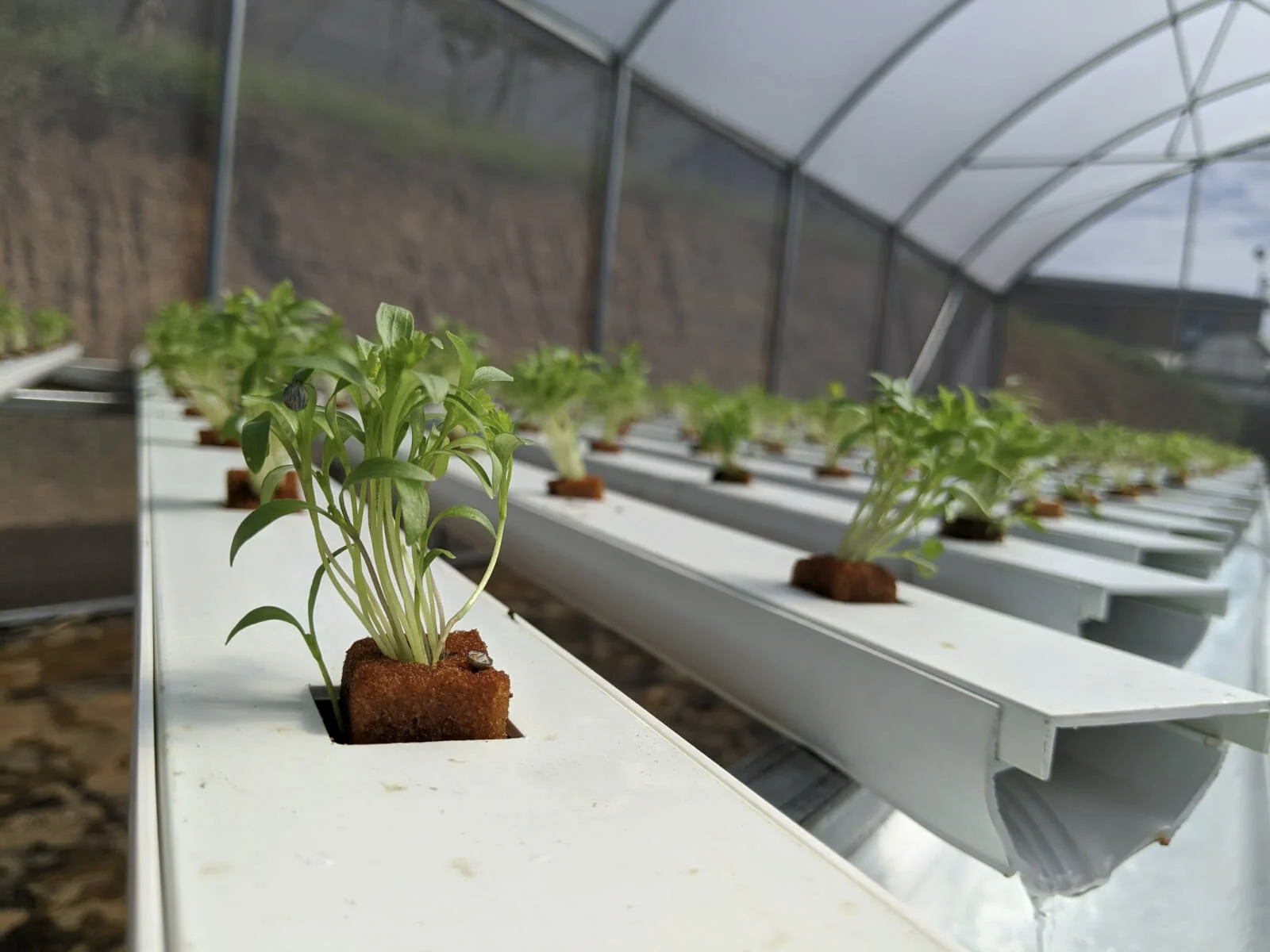 WhatsApp Image 2020-02-21 at 1.jpg