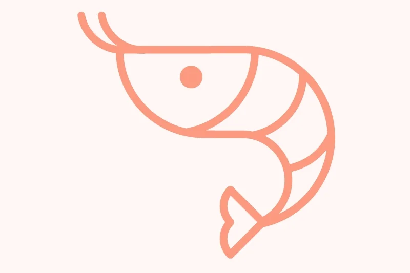 shrimp.jpg