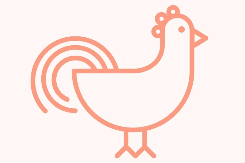 chicken.jpg