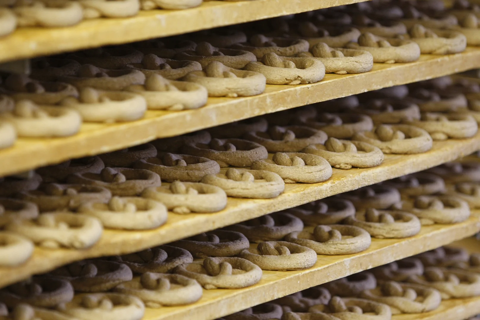 lg_Revonah_Pretzel_06_09b2ef2f-bb0b-434d-9721-1540909334c1.jpg