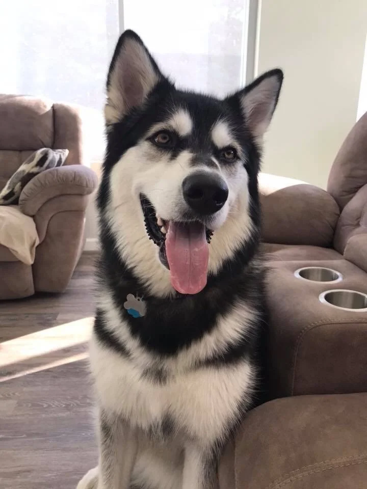 Kaya