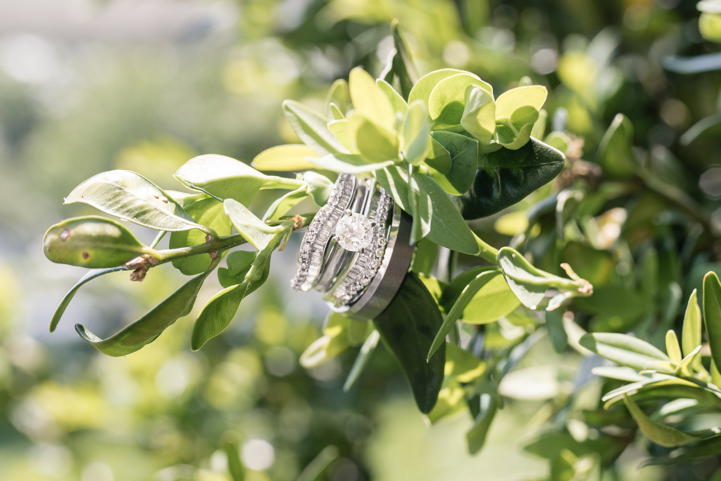medina-wedding-15.jpg
