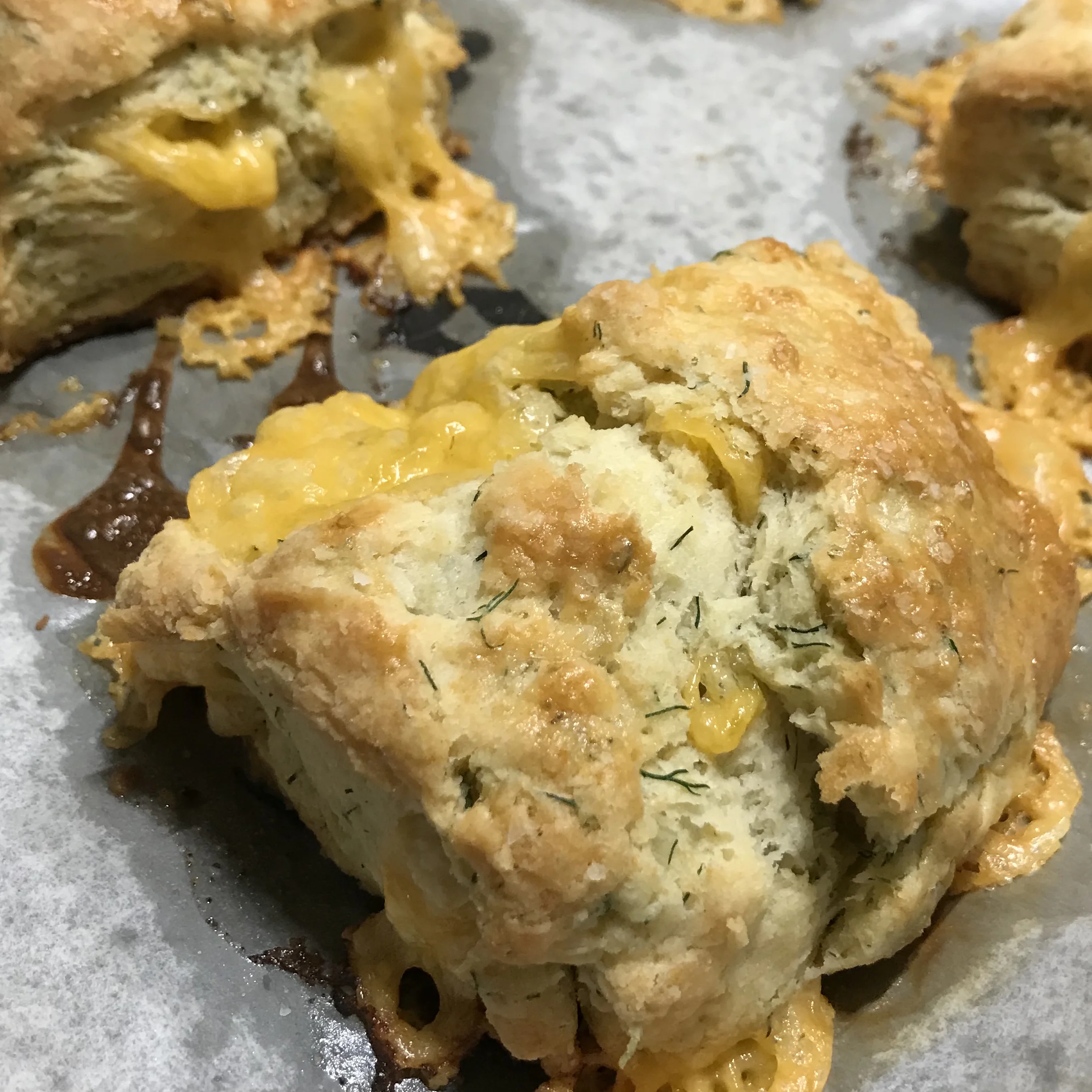 Cheddar Dill Scones . Barefoot Contessa Cookbook . Week 4