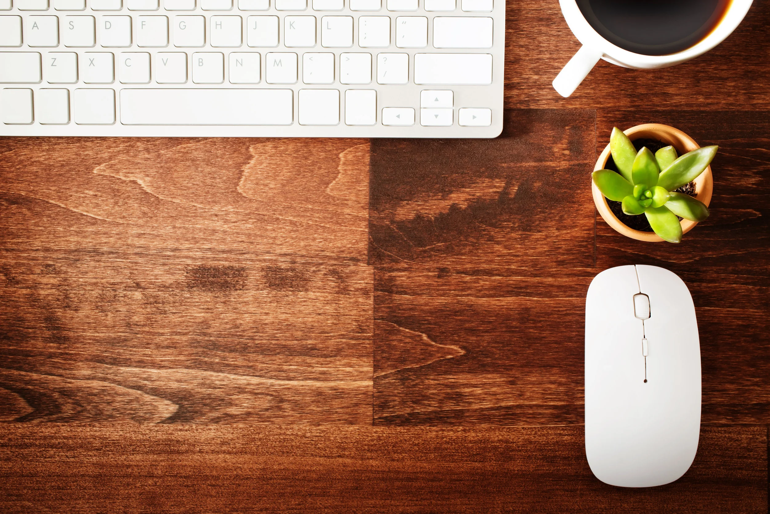 Welcome to the New Caravus.com!