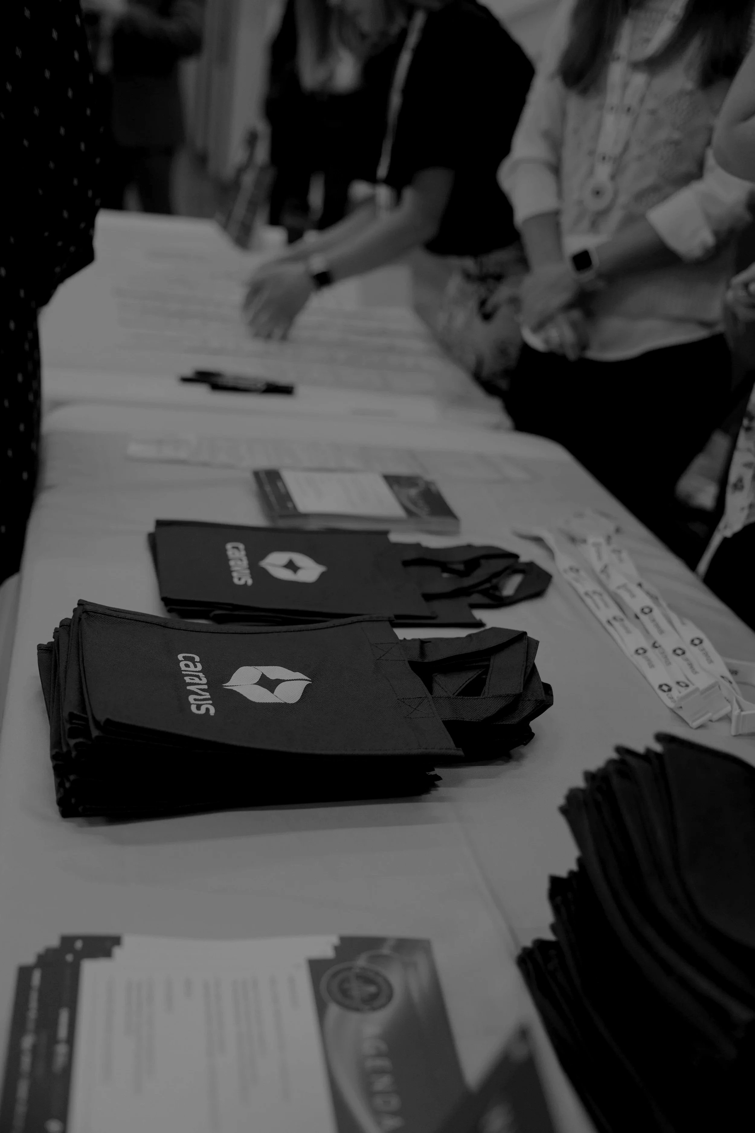 CARAVUS-081 copy.jpg