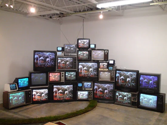 mpc_shrine01.jpg