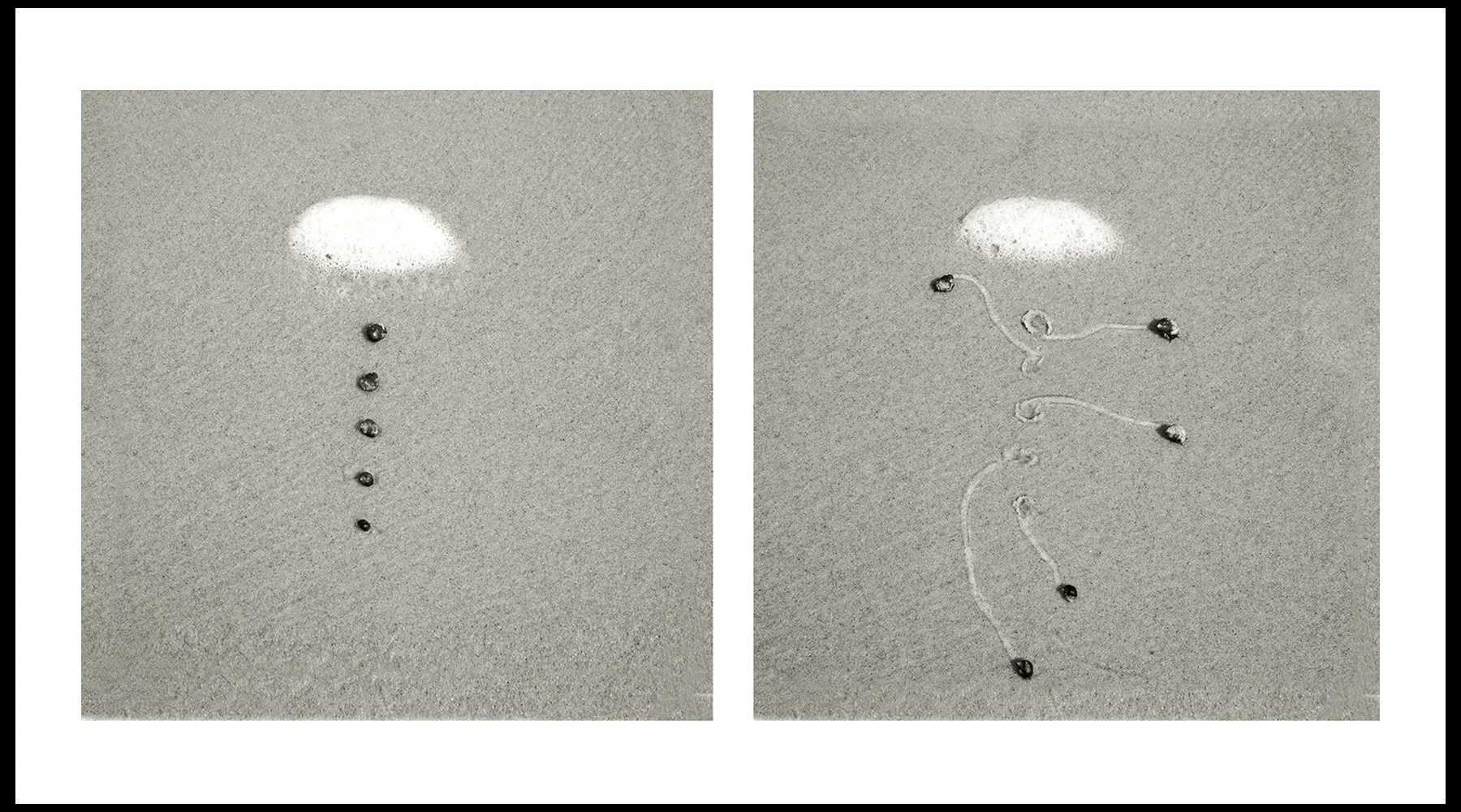  Daniel Ranalli  22 min. Snail Drawing with Foam  Photographic Diptych, Archival Pigment Print on Rag Paper  24 x 36 in  2019 