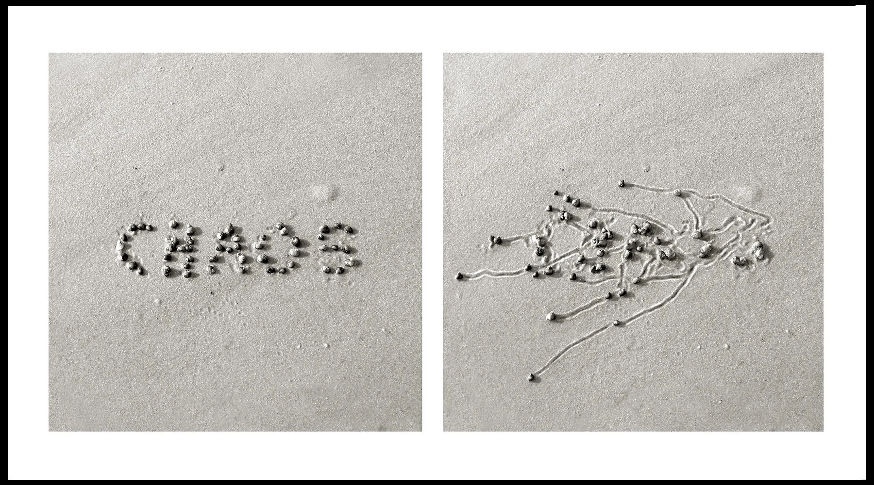  Daniel Ranalli  Snail Drawing: Chaos #2  Photographic Diptych, Archival Pigment Print on Rag Paper  20 x 30 in  2011 
