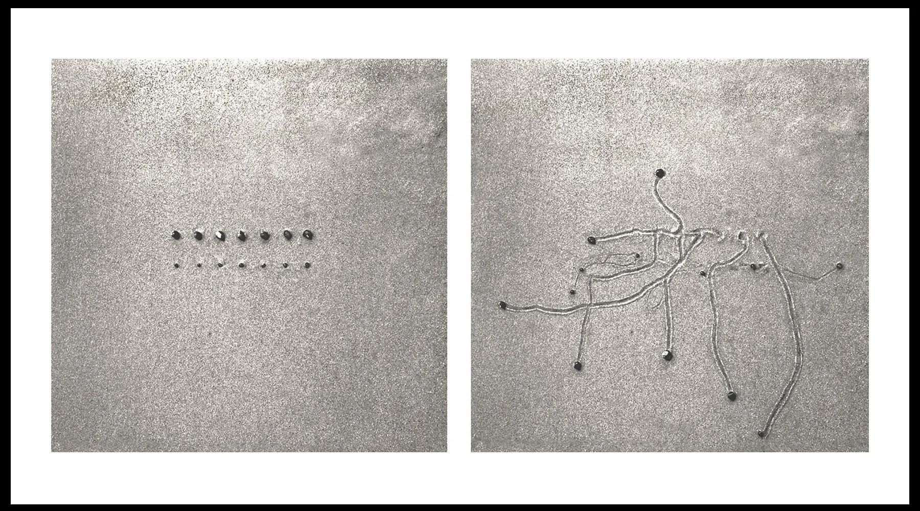  Daniel Ranalli  Snail Drawing: Double Line #2  Photographic Diptych, Archival Pigment Print on Rag Paper  20 x 30 in  2007 