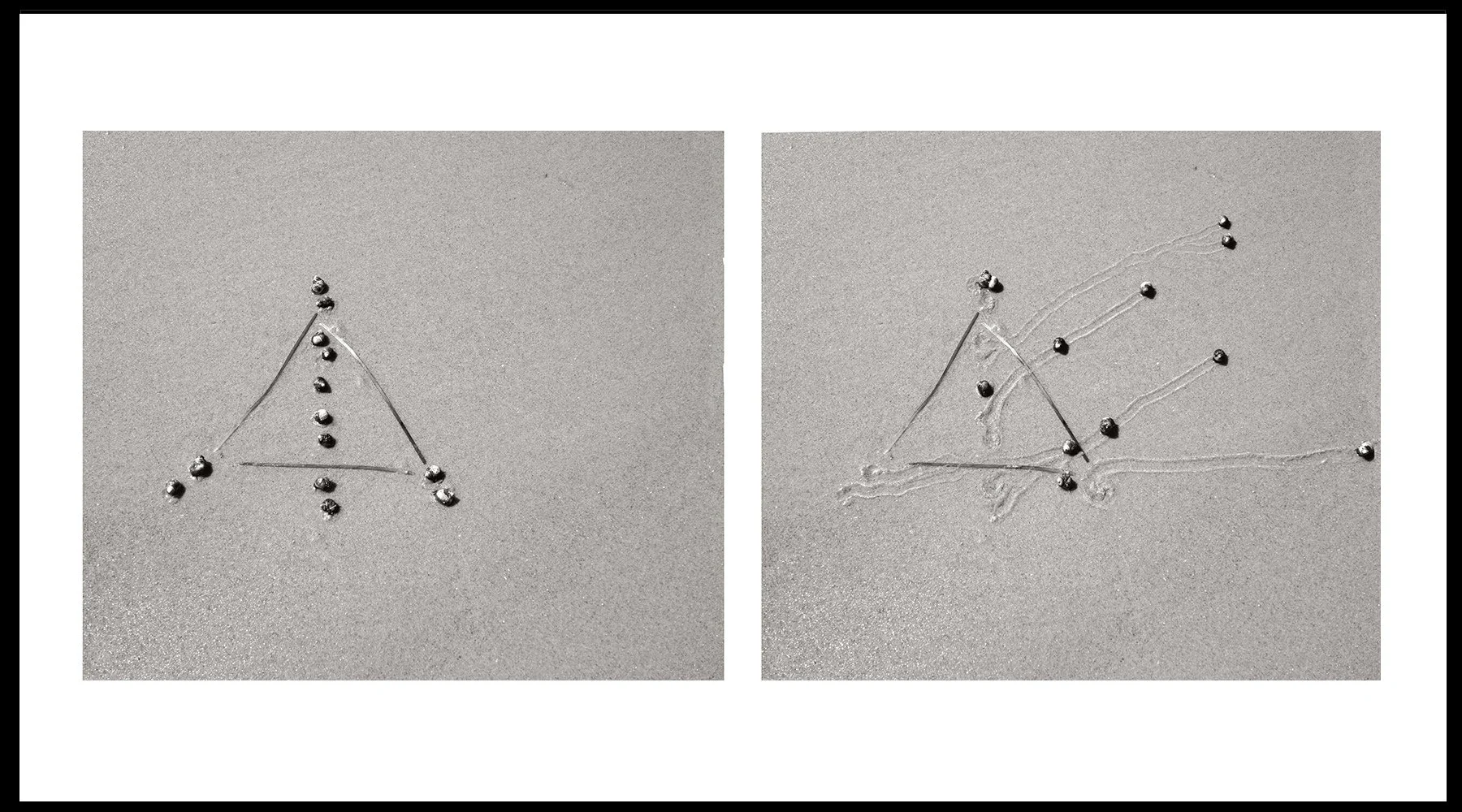  Daniel Ranalli  Snail Drawing: Eel Grass Triangle  Photographic Diptych, Archival Pigment Print on Rag Paper  20 x 30 in  2019 