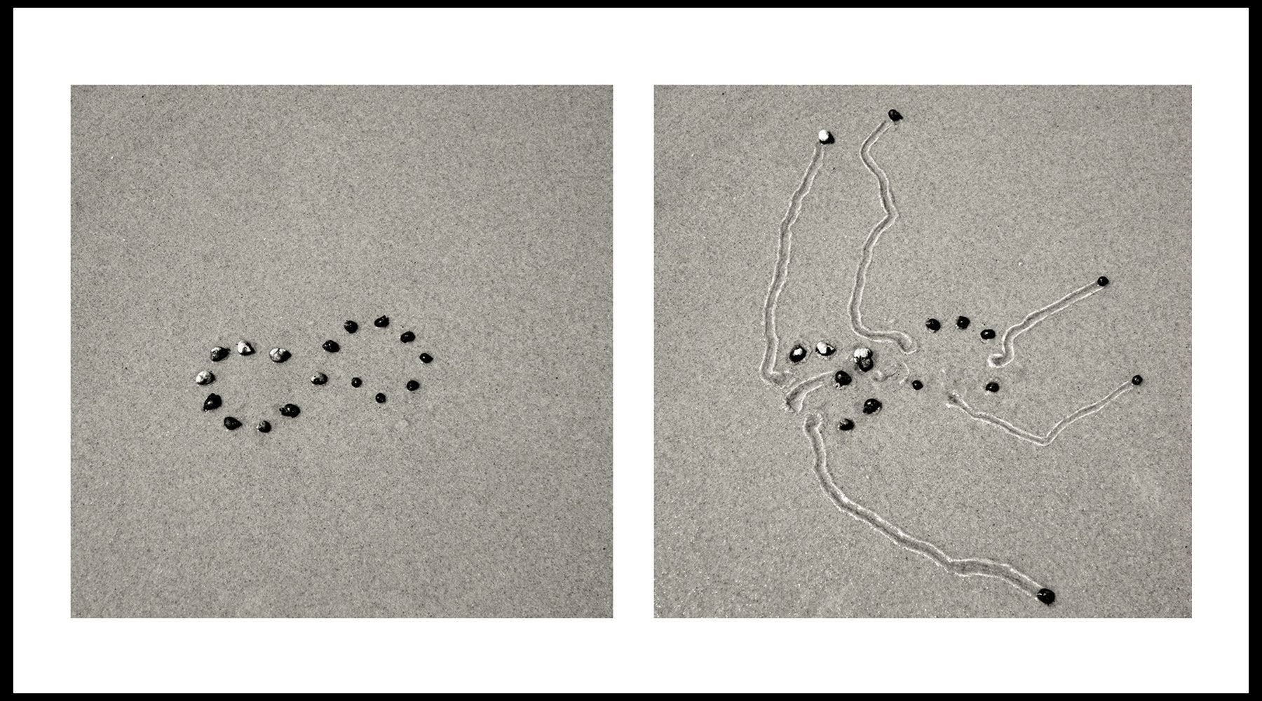  Daniel Ranalli  Snail Drawing: Infinity  Photographic Diptych, Archival Pigment Print on Rag Paper  20 x 30 in  2013 