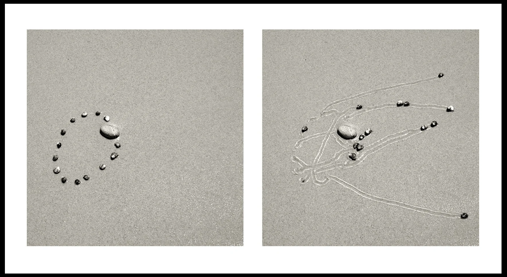  Daniel Ranalli  Snail Drawing: Rock Vein #1  Photographic Diptych, Archival Pigment Print on Rag Paper  20 x 30 in  2013 