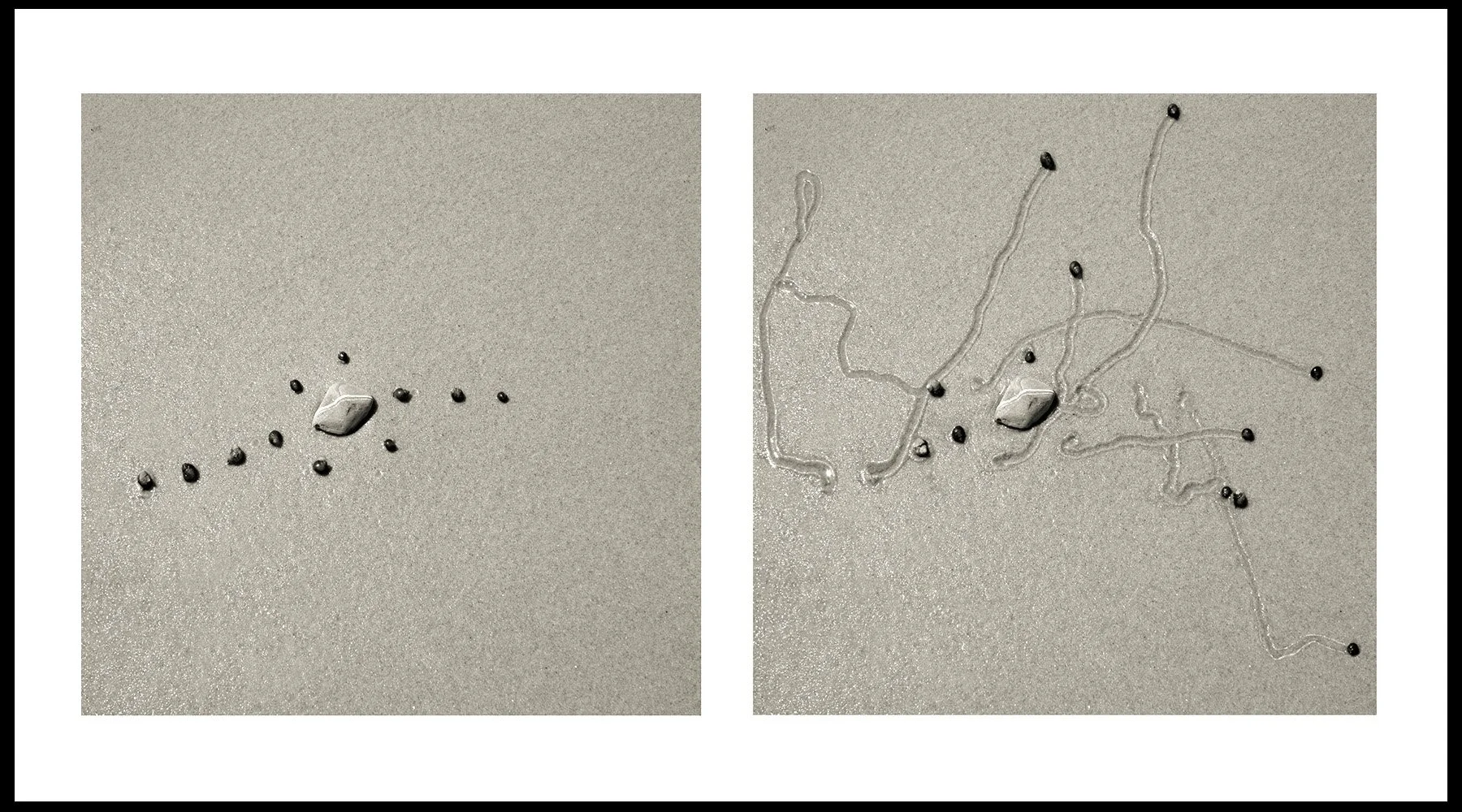  Daniel Ranalli  Snail Drawing: Rock Vein #4  Photographic Diptych, Archival Pigment Print on Rag Paper  20 x 30 in  2013 