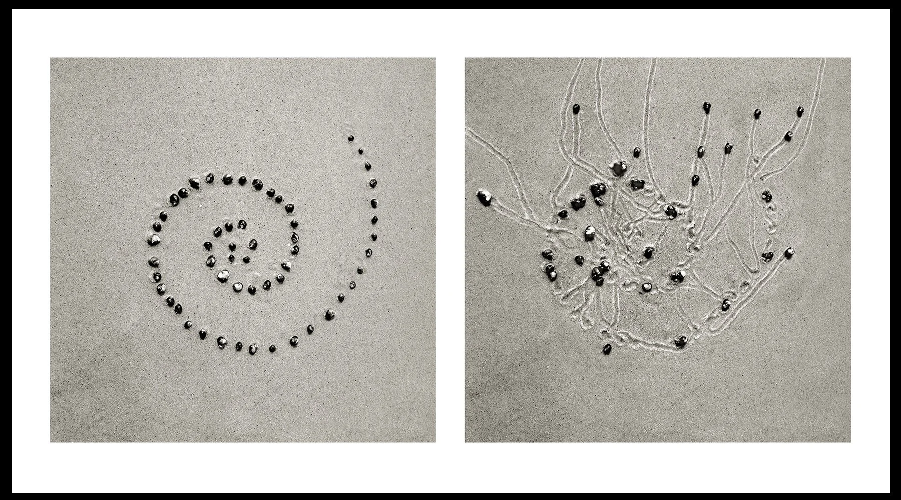  Daniel Ranalli  Snail Drawing: Spiral #9  Photographic Diptych, archival pigment print on rag paper  20 x 30 in  1995 