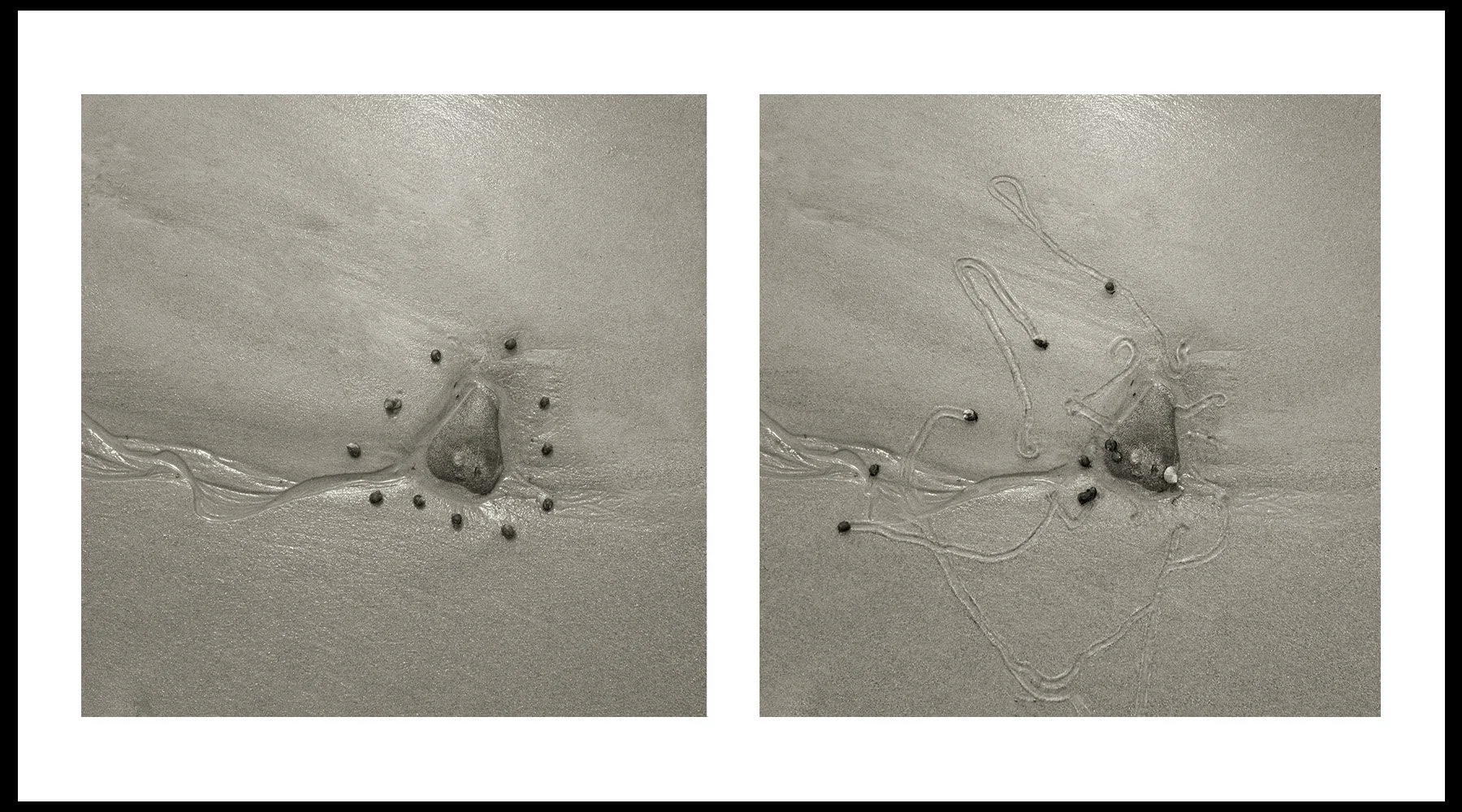  Daniel Ranalli  Snail Drawing: Stone #3  Photographic Diptych, Archival Pigment Print on Rag Paper  20 x 30 in  2019 