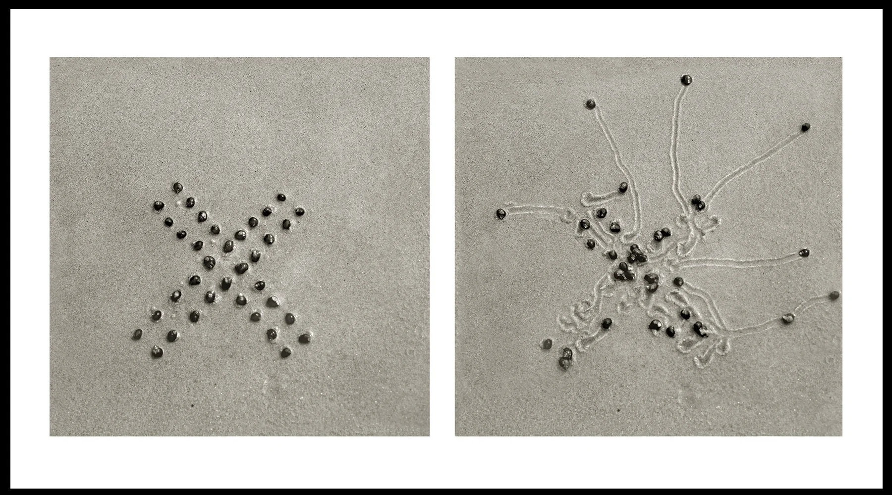  Daniel Ranalli  Snail Drawing: X Start  Photographic Diptych, Archival Pigment Print on Rag Paper  20 x 30 in  2008 