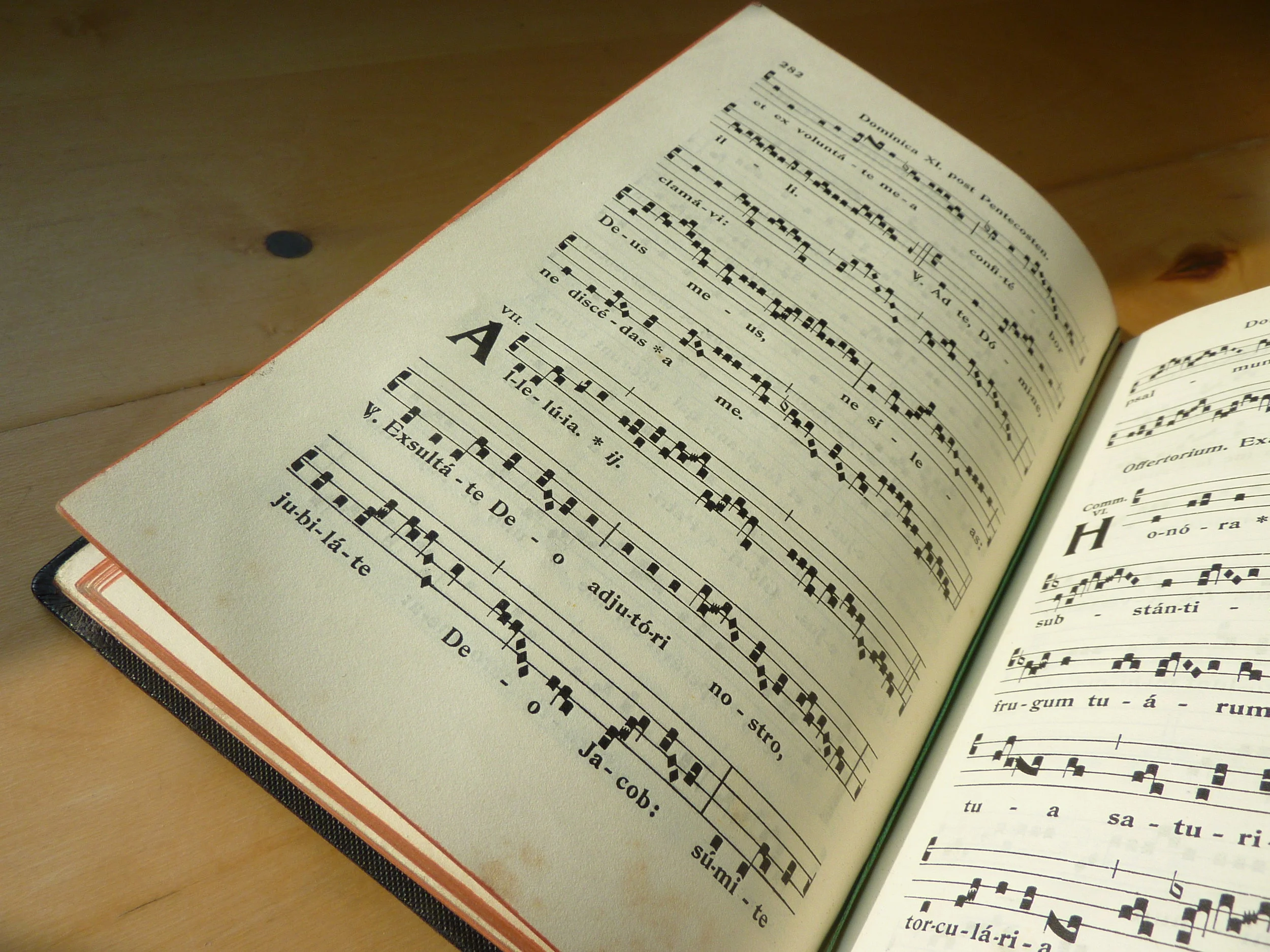 Ah, repetitious robin