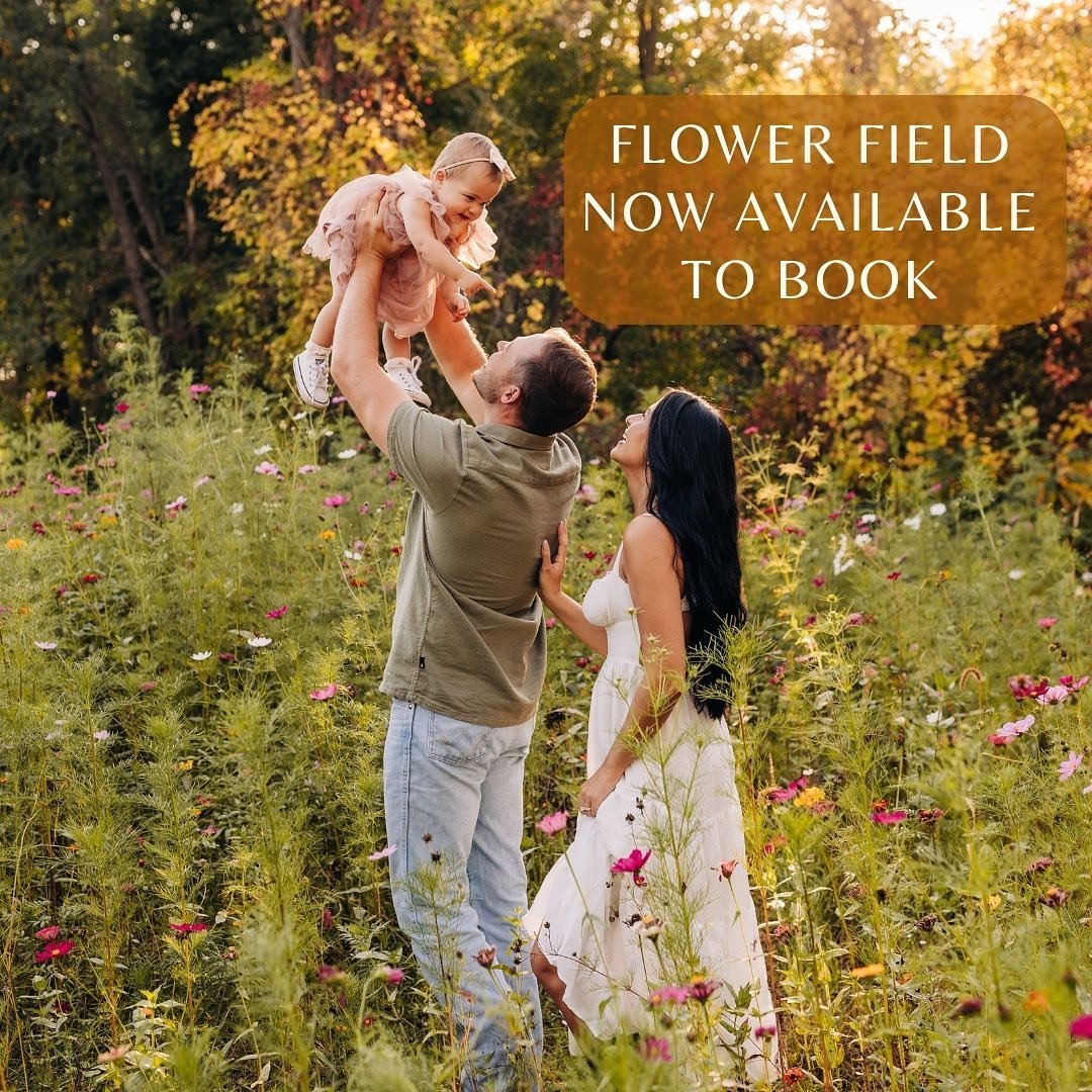 Our flower field is now open for booking for photographers! 🎉 We are sooo excited to officially have our beautiful flower field open to other photographers this summer!! 🌸 Our field is located in Clarksville, Michigan which is about 30 minutes away