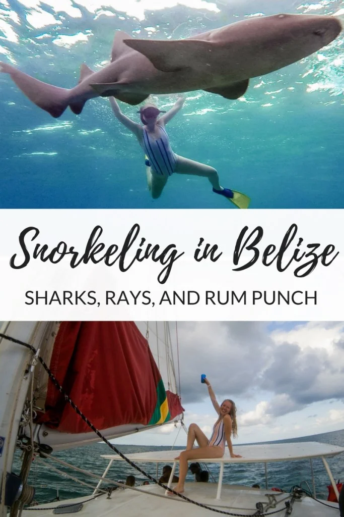 Sharks-rays-and-rum-punch.jpg