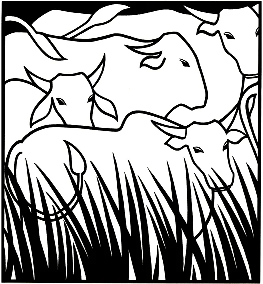 Cattle Available as signed giclee print, 20cm sq (no mount)