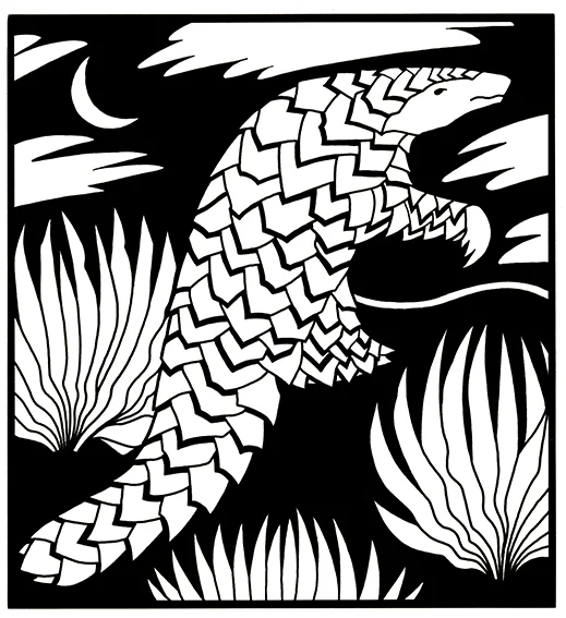 Pangolin Available as signed giclee print, 20cm sq (no mount)