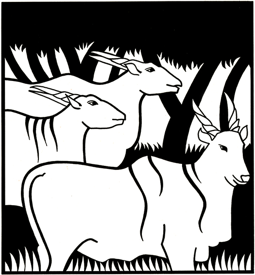 Eland Available as signed giclee print, 20cm sq (no mount)