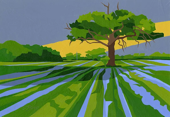 Near Soulbury This distinctive tree is in a field close to Liscombe Park, between Wing and Soulbury. Original acrylic and mixed media painting Framed size: 33cm high x 43cm wide Original sold but available as signed, limited edition, giclee print Mounted, full size print: 39cm high x 46cm wide