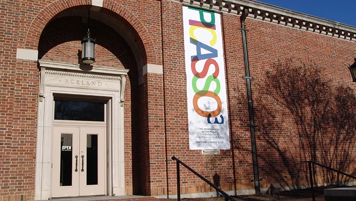 Picasso-banner.jpg