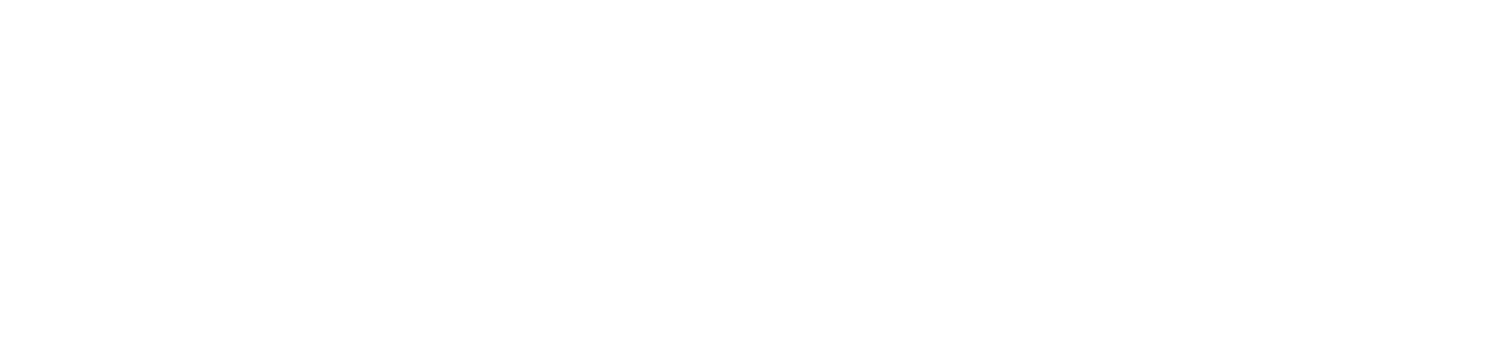 Hotel Security Group